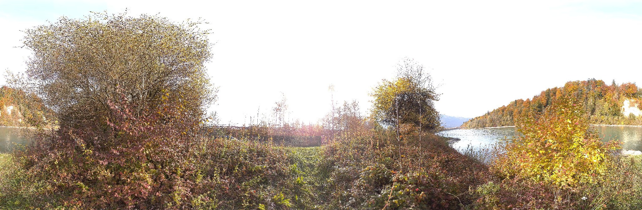 Panorama ScanPos049