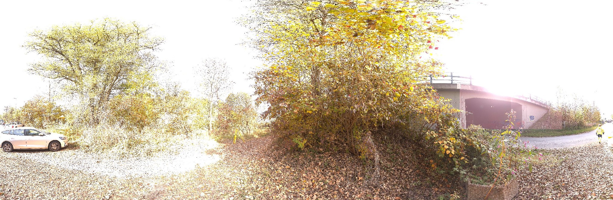 Panorama ScanPos056