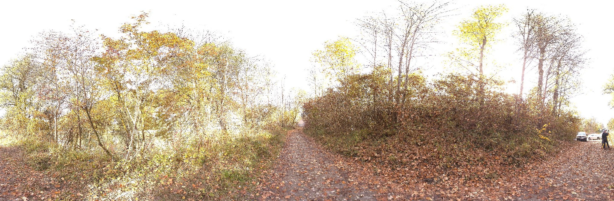 Panorama ScanPos058