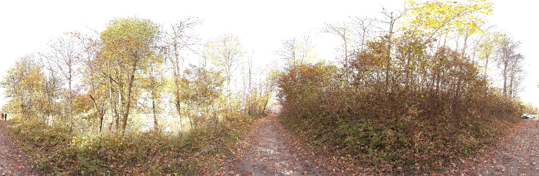 Panorama ScanPos059