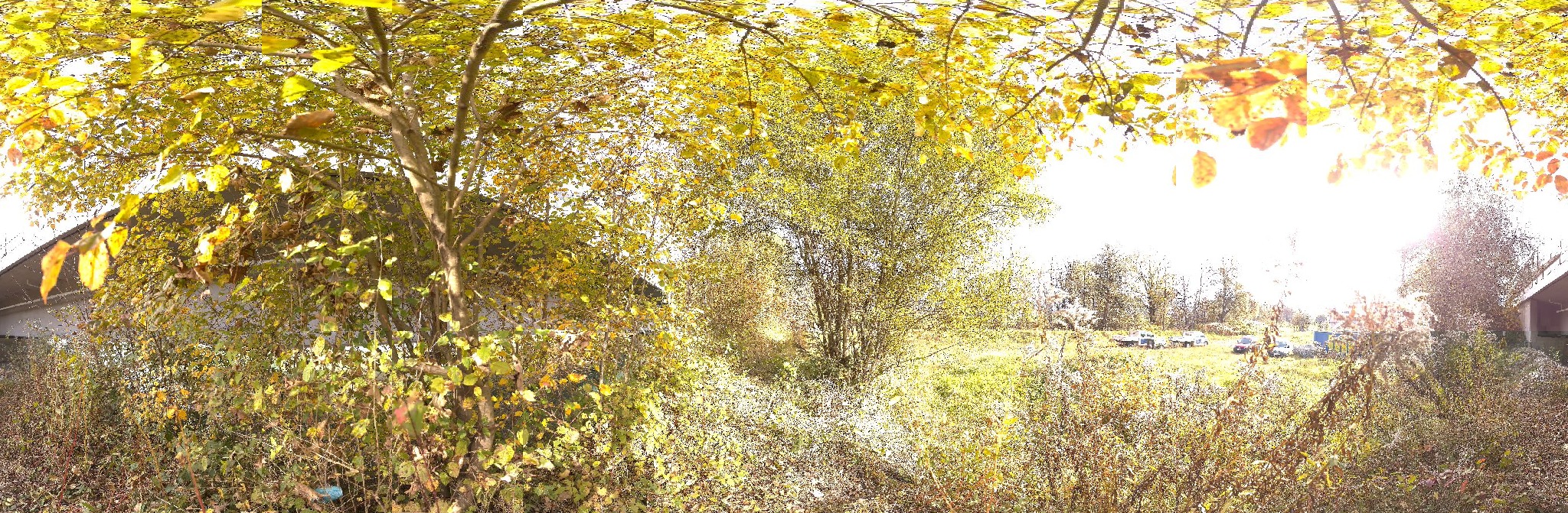 Panorama ScanPos095
