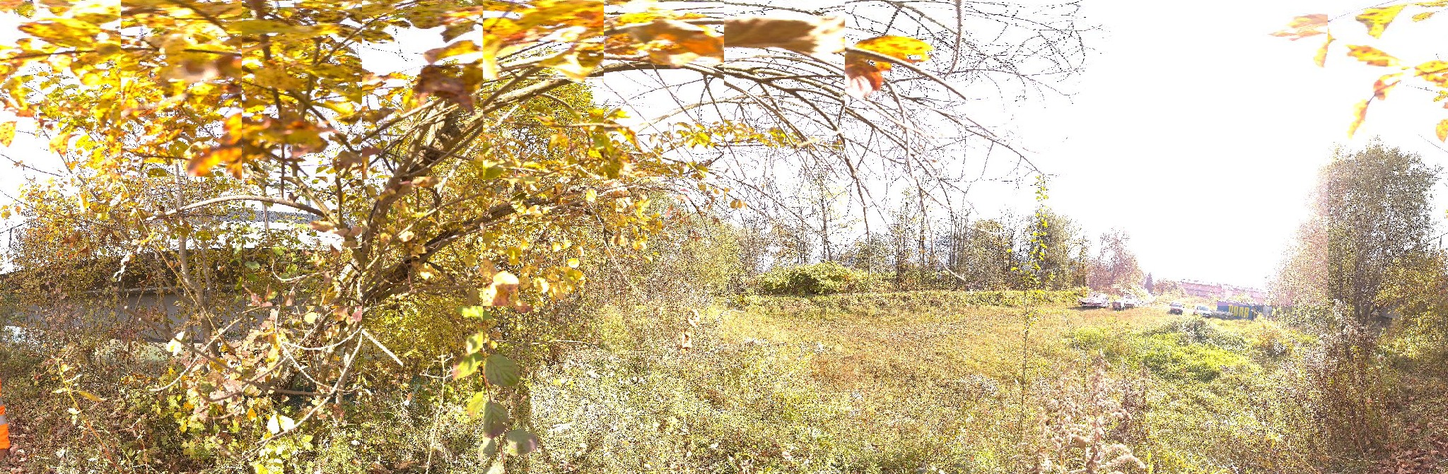 Panorama ScanPos098