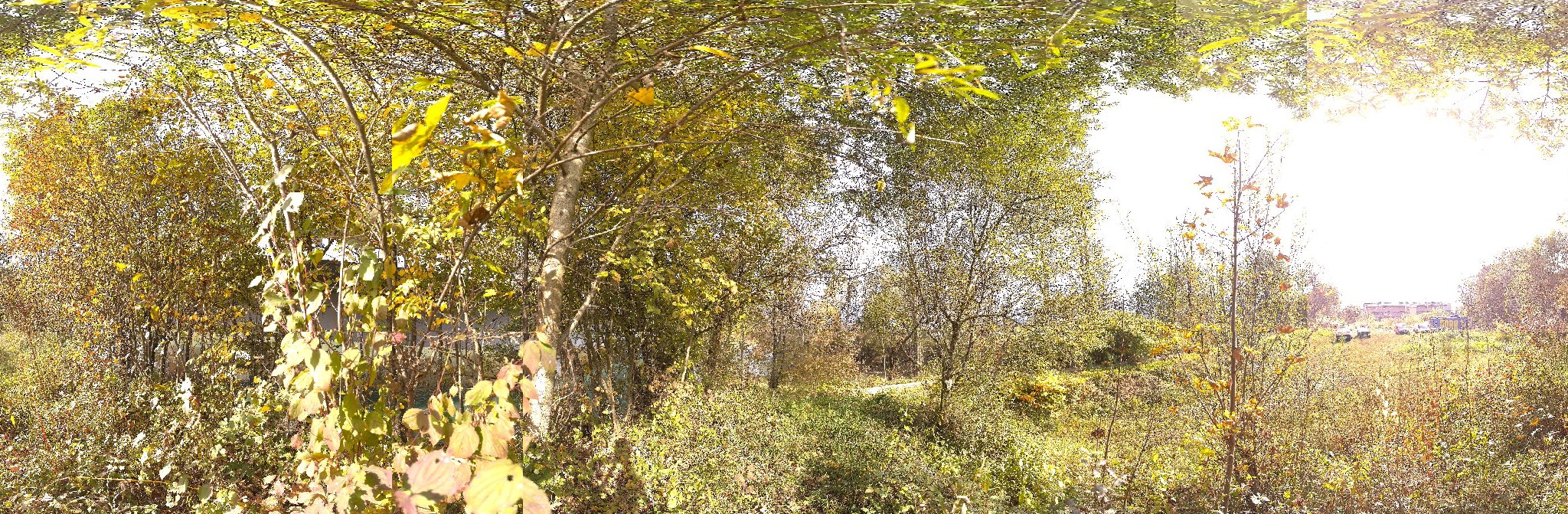 Panorama ScanPos101