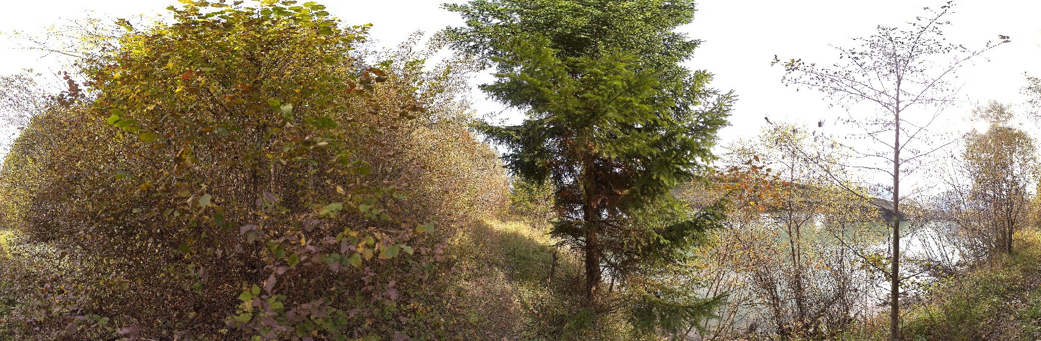 Panorama ScanPos121