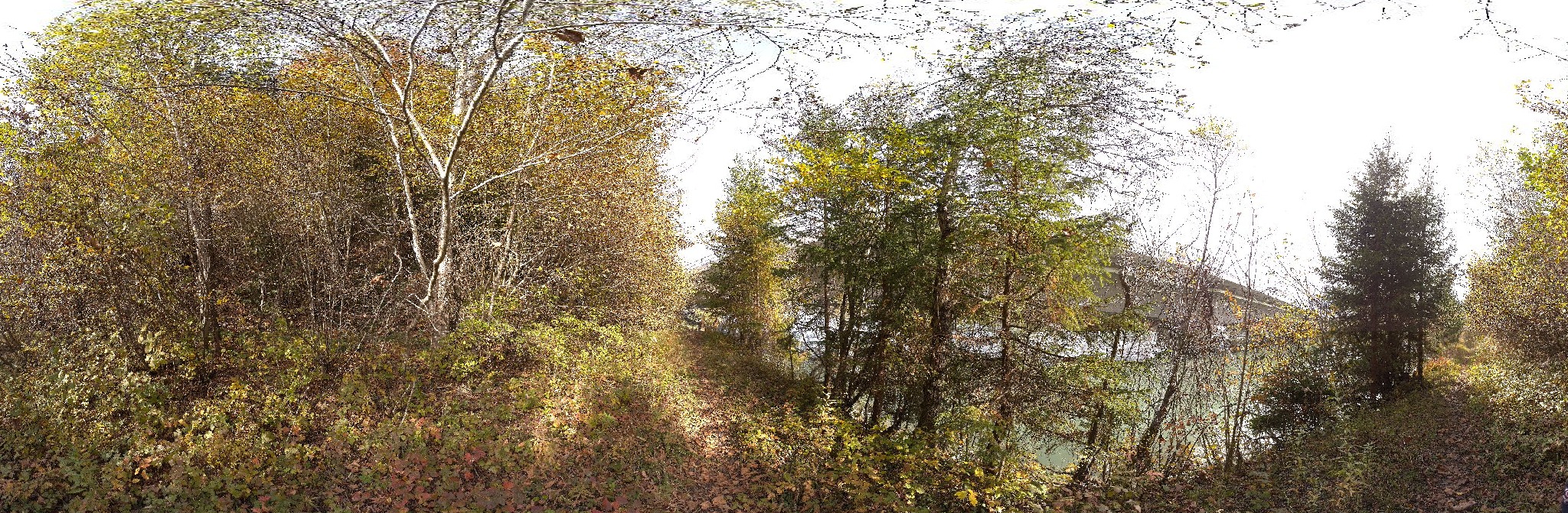 Panorama ScanPos128